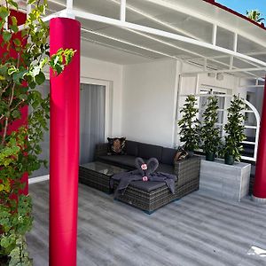 Bungaló Estándar
